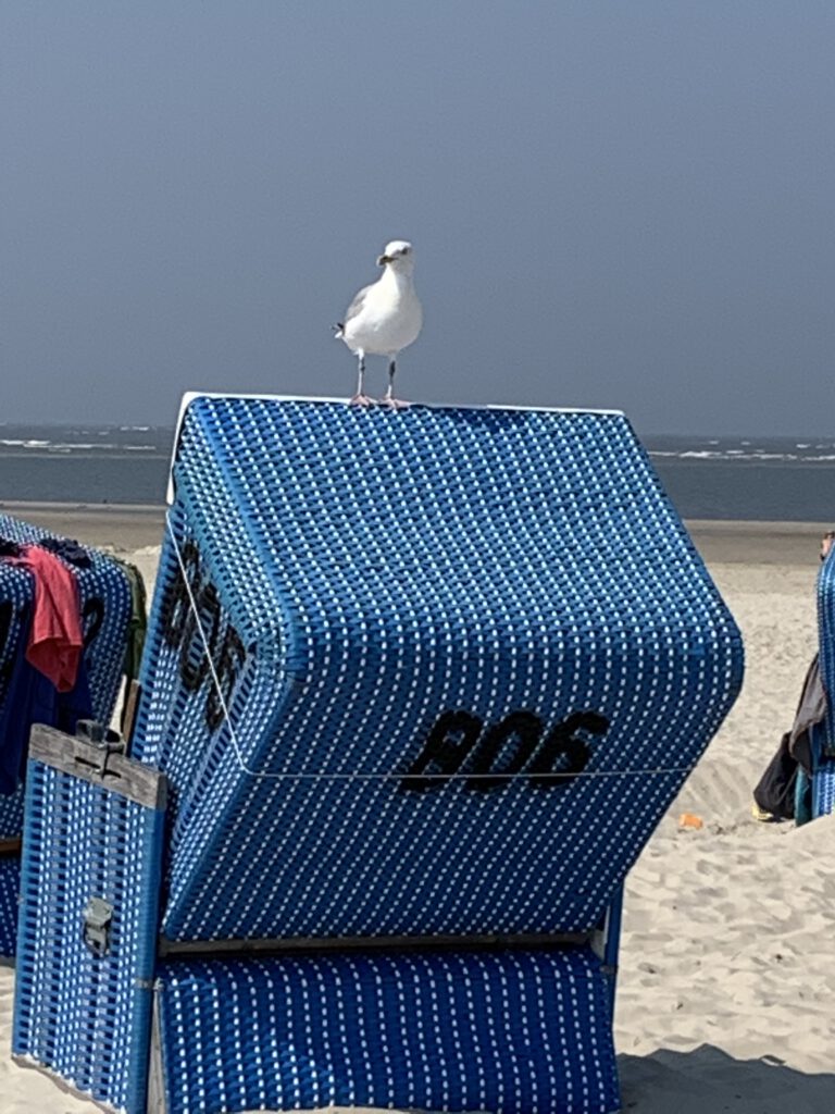 Strandkorb
